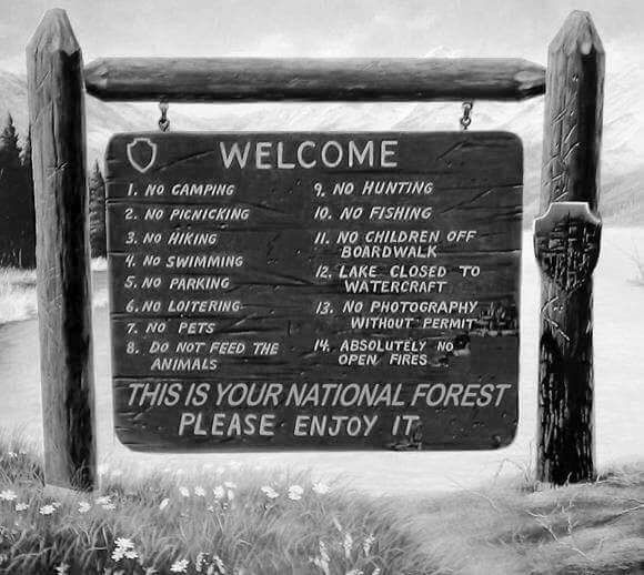 15492460_1827867774101664_4772155621061919507_n