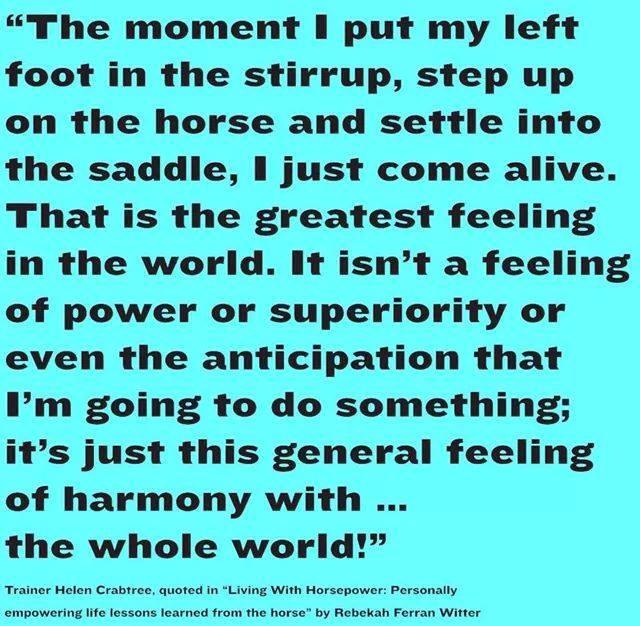 10414558_702411056499901_1533709384215014697_n