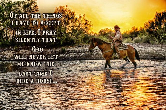 10563211_10204435493200531_2085765513069933759_n (1)