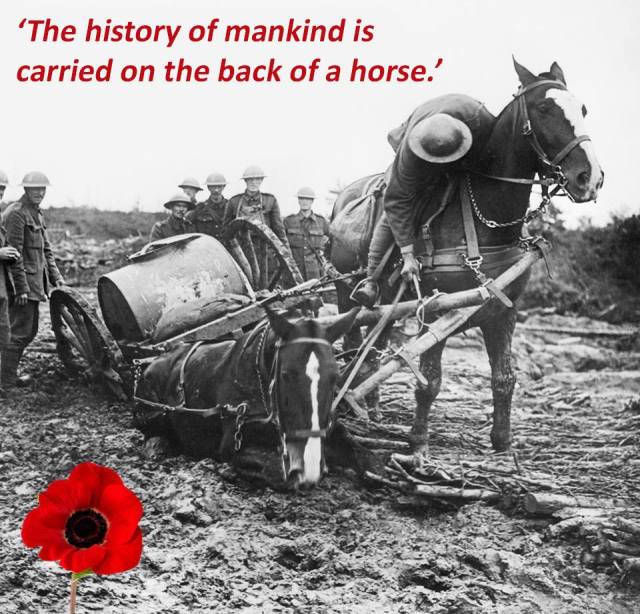 10653819_10152945877140695_4490399322303840174_n